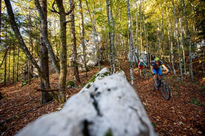 Trail Spaß auf der Kaisertour