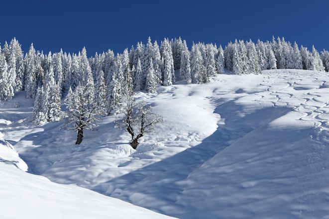 Skitour