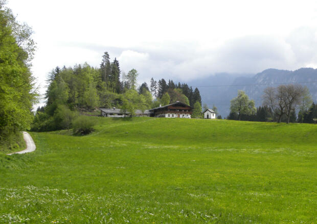Bauernhof "Gut Aigen"
