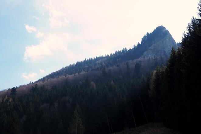 Steinerner Jäger am Rückweg ca. 835m