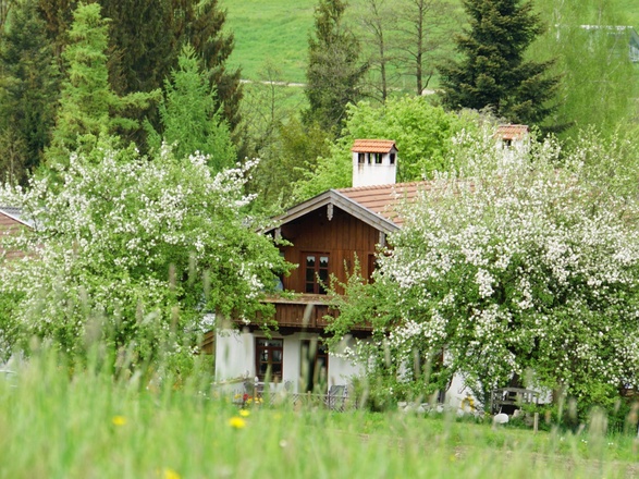 Haus mit Wiese