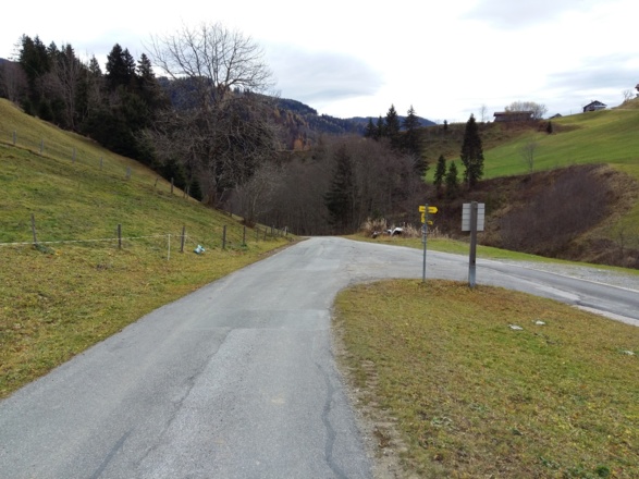 Abzweigung gerade aus folgen in Richtung Grünegg
