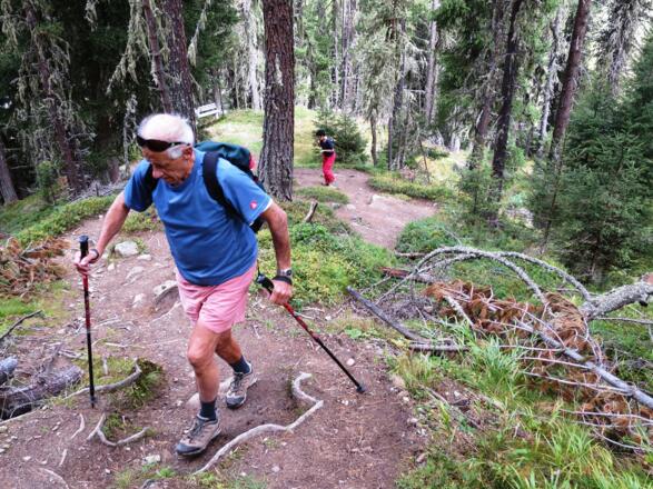 Der Aufstieg durch den nordseitig exponierten Wald ist auch im Hochsommer angenehm kühl.