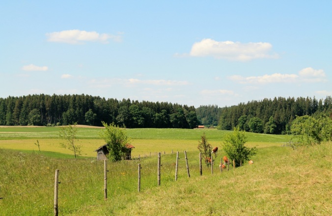 Hinterm Haus