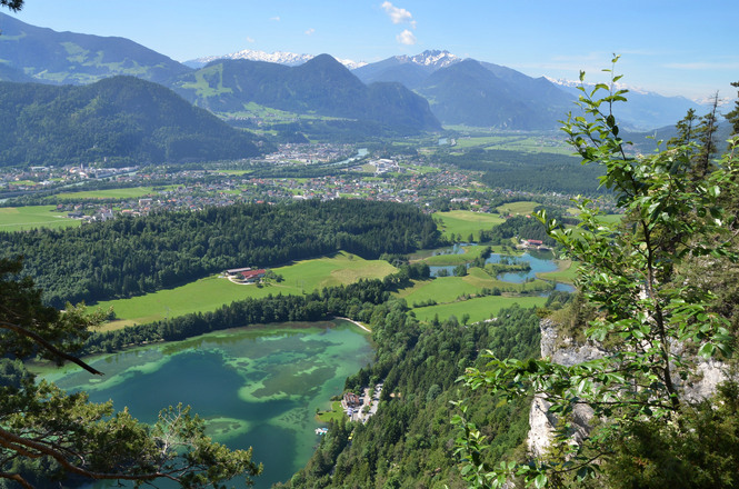 Blick von der Bärengrube
