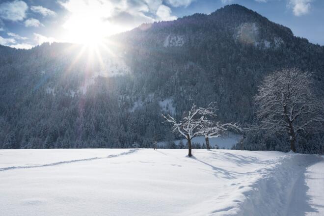 Winterwandern in Reith i.A.