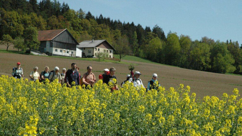 via-nova_etappe_st_marien