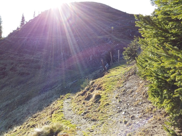 in Richtung Sulzbühel