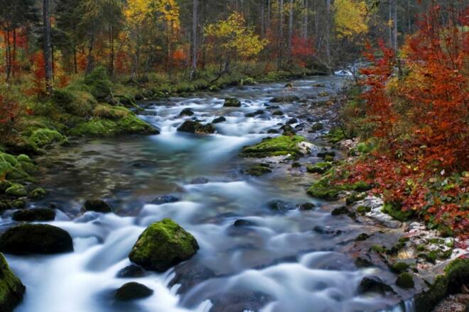 Waldbach im Echerntal von Hallstatt