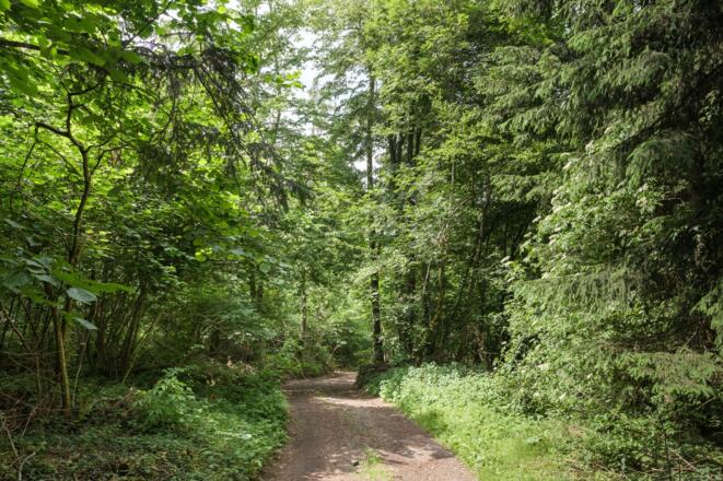 Rannatalweg