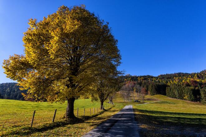 Zurück auf dem Weg nach Werfen