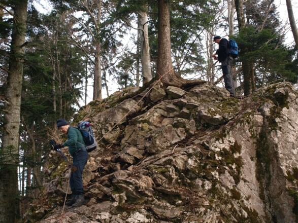 Sattel 815m zum Baalstein