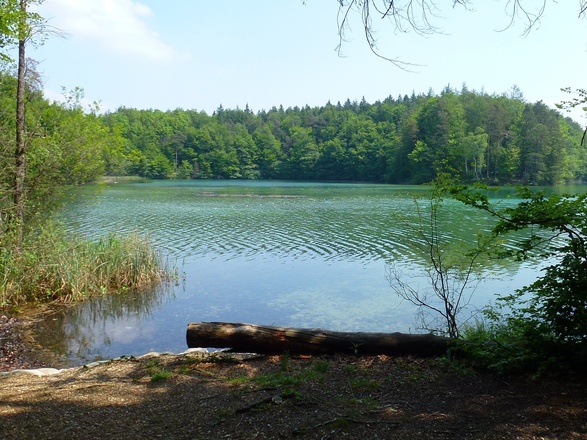 Langbürgnersee