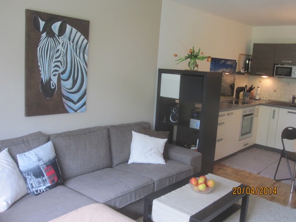 Wohnzimmeransicht Ferienwohnung Breuer