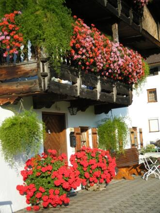 Balkonblumen Bergerhof