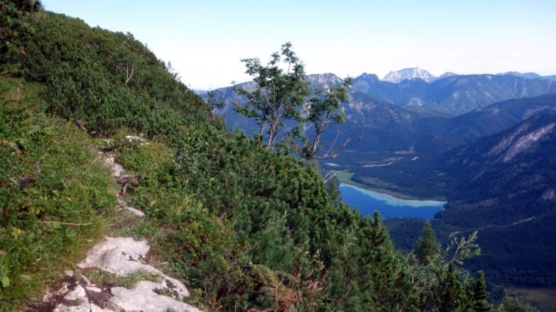 Teils Latschengasse, Offenseeeblick ~1550m