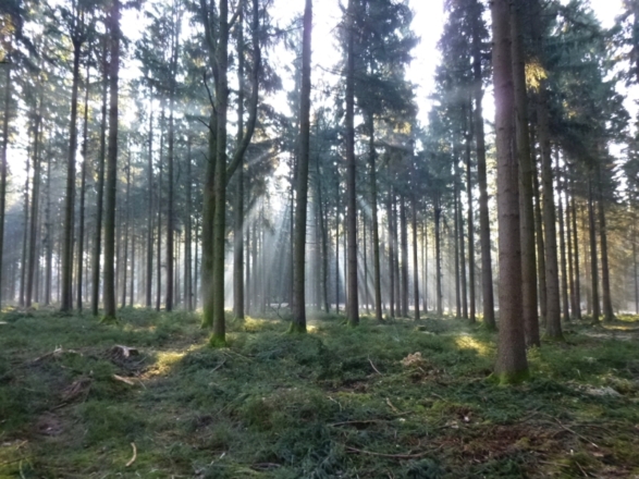 Weg des Buches Pilgerweg Oberösterreich