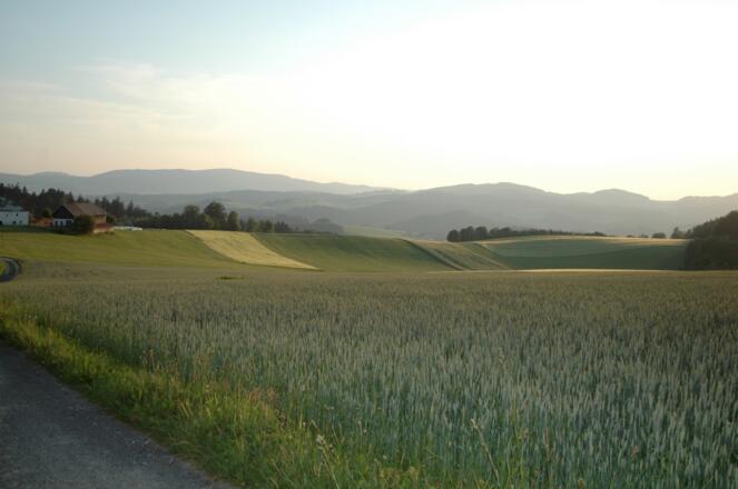Karlsbach Umgebung