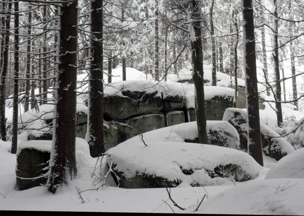 Pilzstein ~980m im Winter