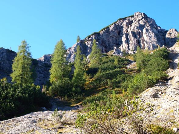 Schuttrinnne zum Hirscheck 1.695m