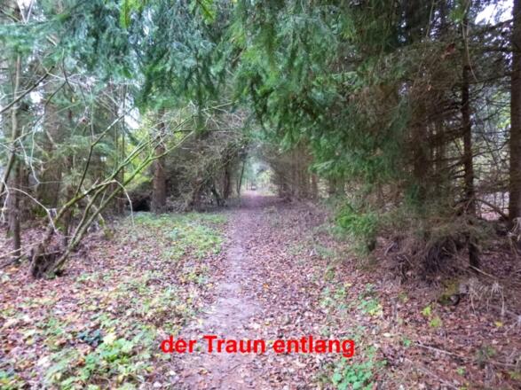 Weg des Buches Pilgerweg Oberösterreich