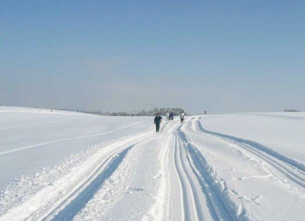 Langlaufen in Natternbach