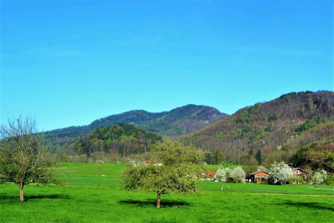 Blick auf Niederau im Frühling