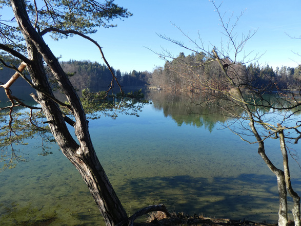 Langbürgnersee