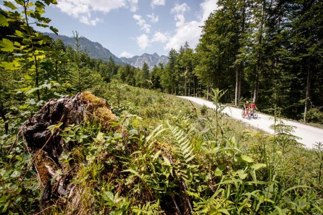 Die Hochmuth Runde inmitten von Wäldern und Almen