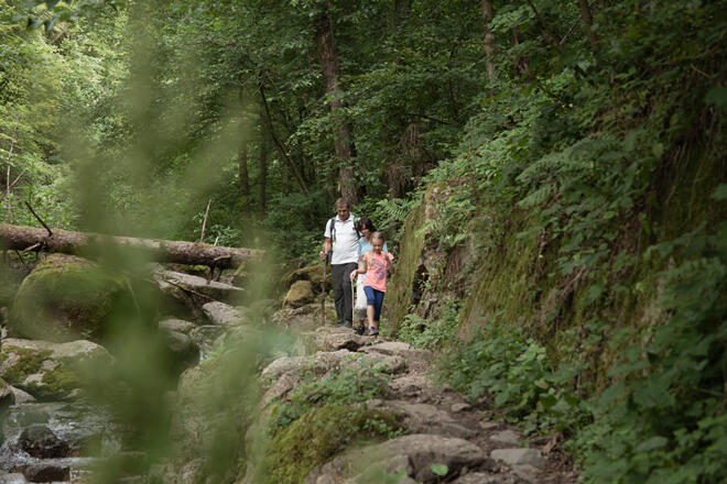 09_Muehlviertel_Sommer_Pesenbachtal_Familie_Oberoesterreich Tourismus GmbH_Martin Fickert