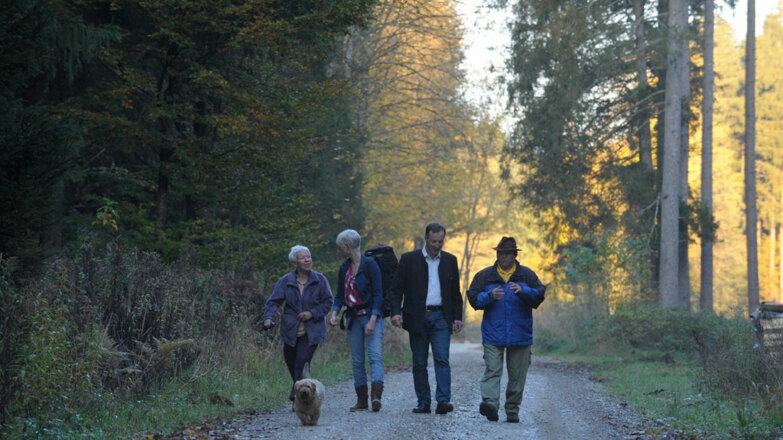 via_nova_etappe_polling