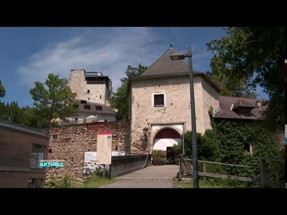 Donausteig Wanderung in Bad Kreuzen - Kreuzner Donaublickrunde