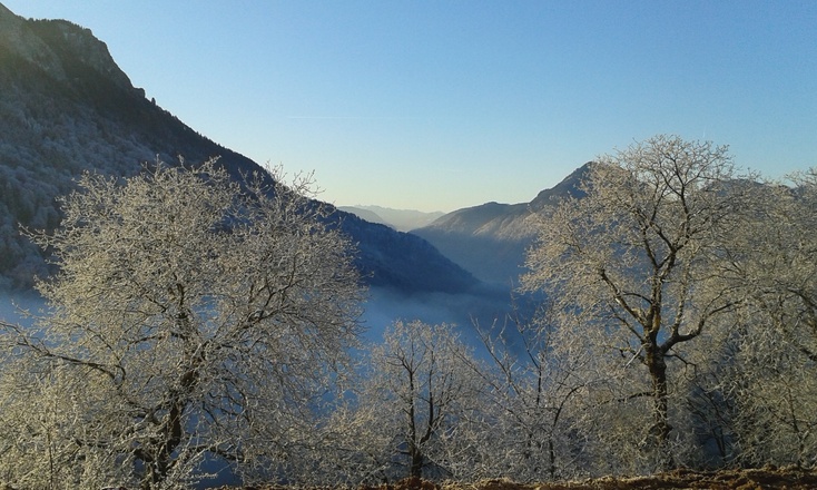 Ausblick rund um den Schoberhof