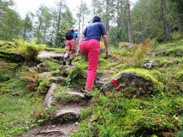 Gut markiert und nicht zu verfehlen ist der Weg über den man rasch an Höhe gewinnt.