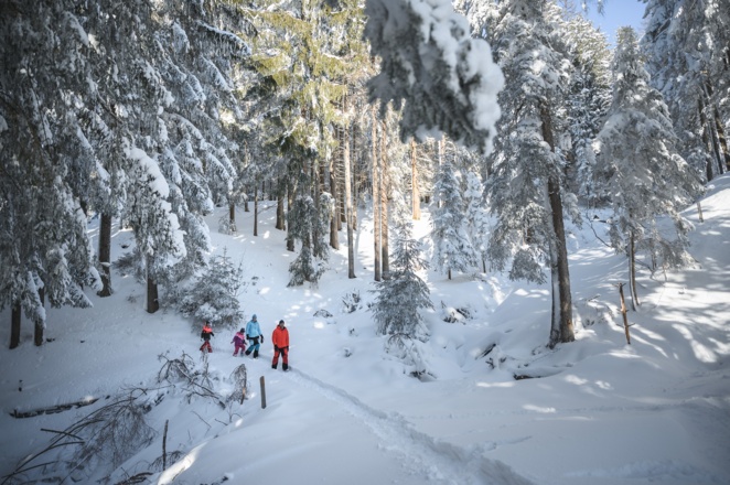 Winterwandern