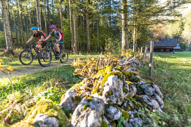 Mountainbiken durch den Wald im Salzkammergut