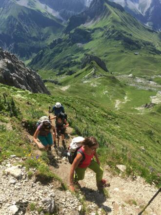In der reichlichlich bewachsenen steilen Südflanke 