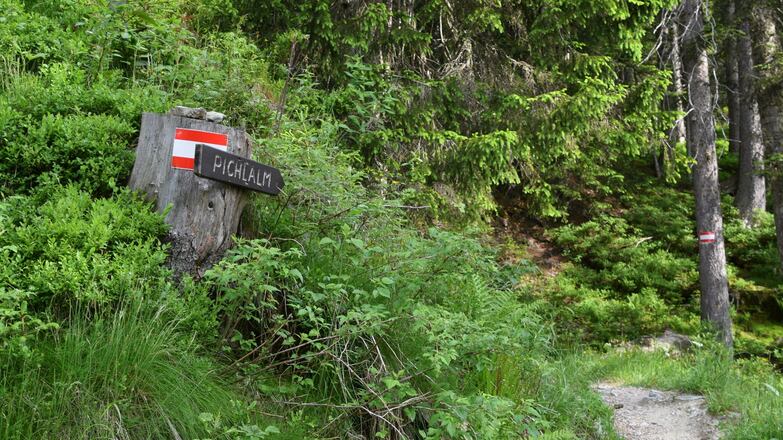 Weg zur Pichlalm