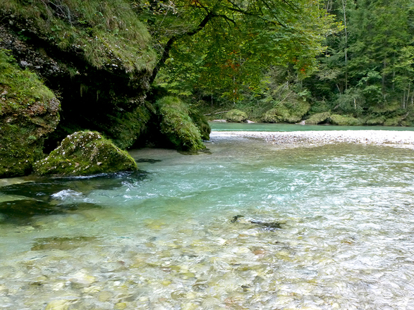Mündung Krumme Steyrling in die Steyr
