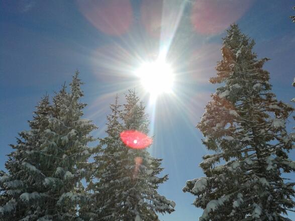 Sonniger Wintertag