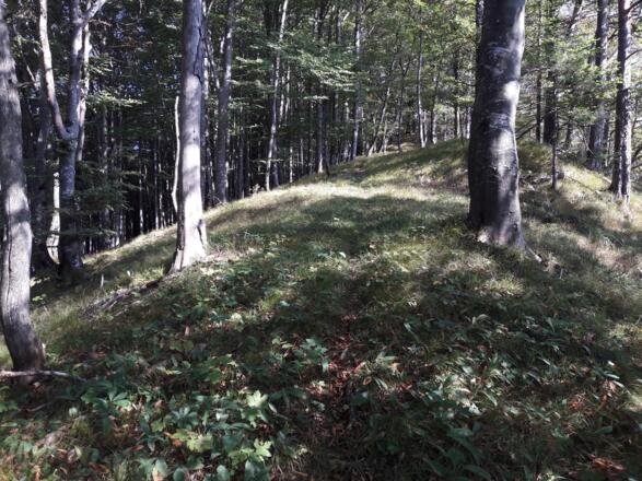 Am Gratrücken bergan, Pfadspuren
