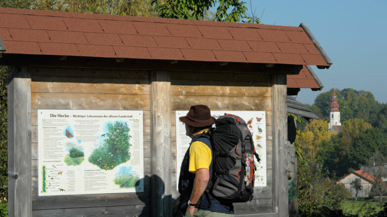 via_nova_polling_munderfing