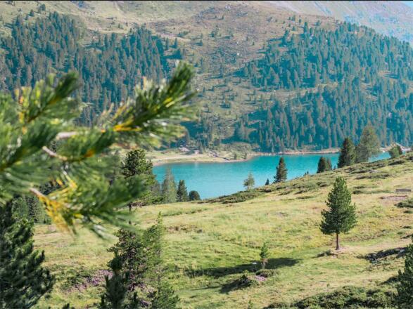 Obersee