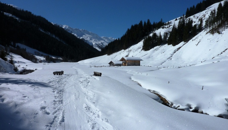 Saalhofalm