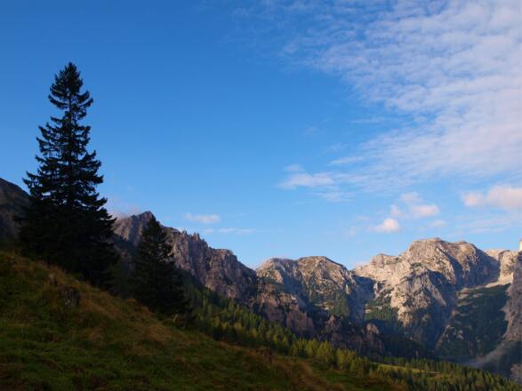 1.460m Almwiese beim Abzweig zur Peterhofer Alm