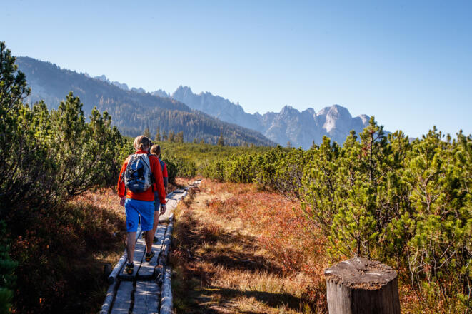 Auf der Seekar Runde bietet sich ein Abstecher zum Löckernmoos an
