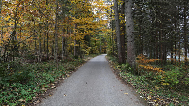 Herbstliche Wanderung am Ostuferwanderweg