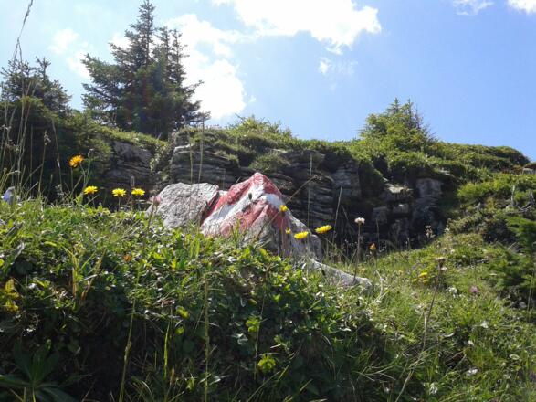 Weg zur Schwalbenwand