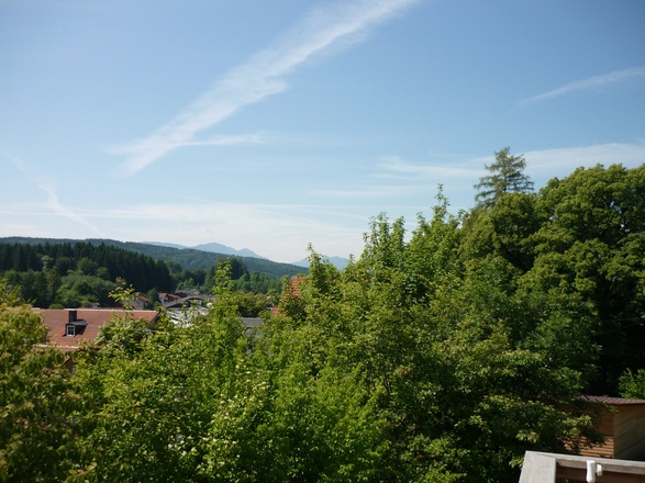 Ausblick