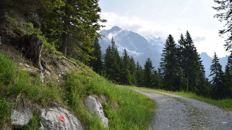 Weg zur Pichlalm